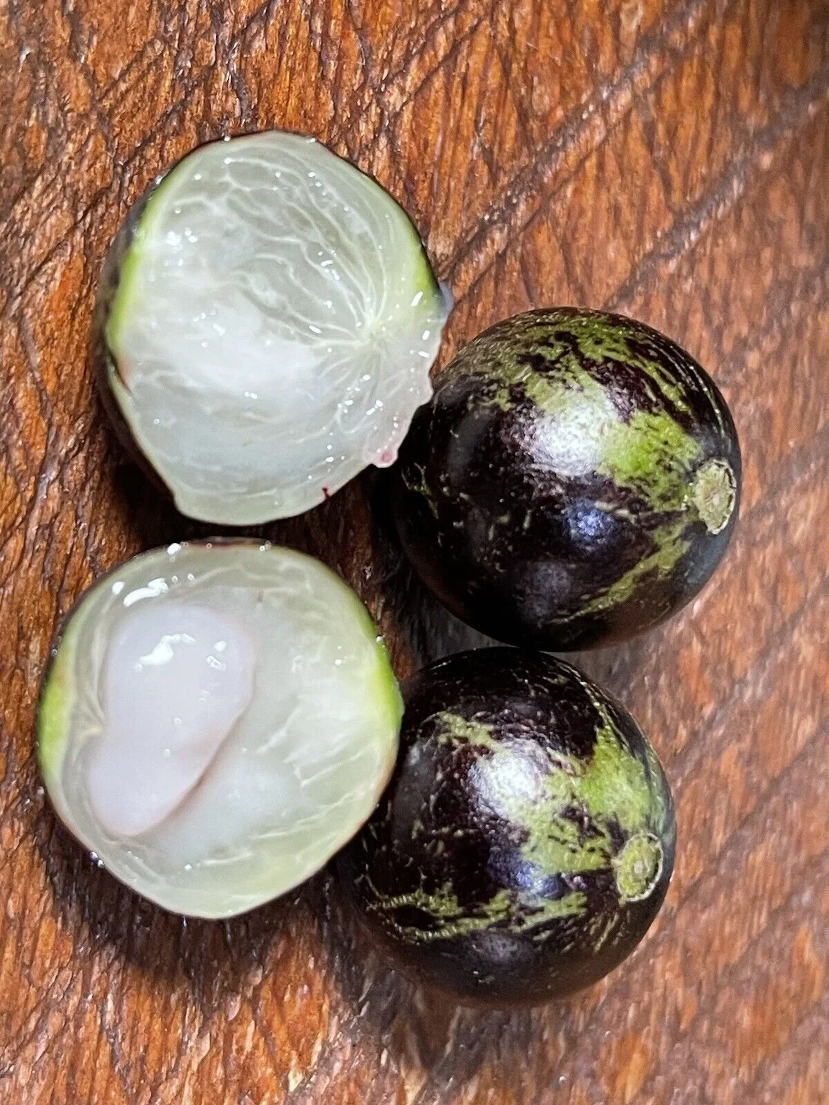 Plinia sp Rajada Honey Syrup - Jaboticaba — Bellamy Trees